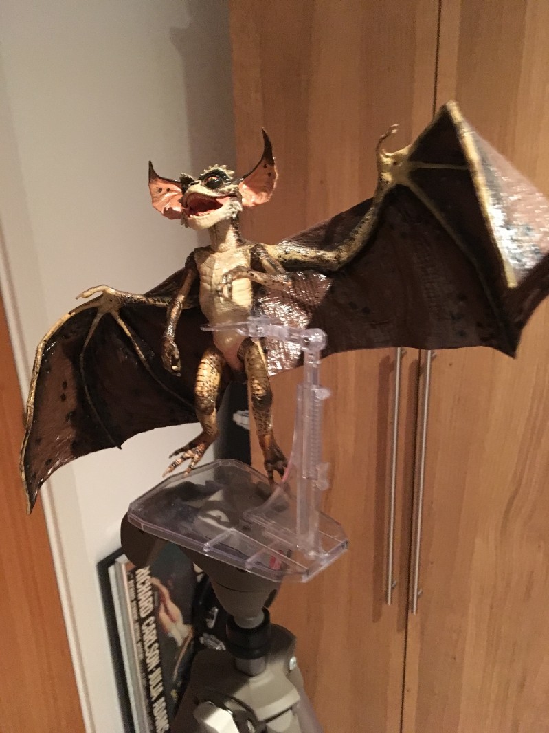 bat gremlin